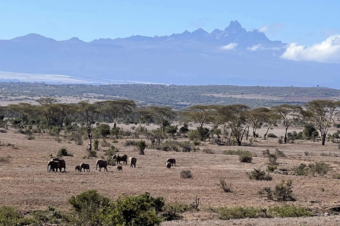 Årsmøde 2022, The Long Run, Borana Conservancy, Kenya