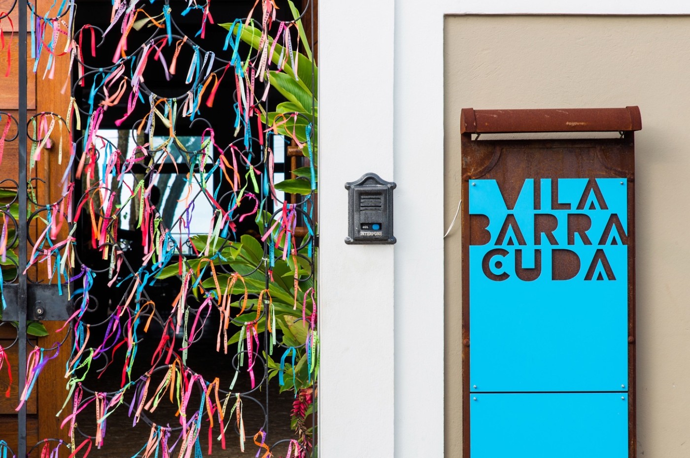 Barracuda. Itacaré, Bahia, Brasilien