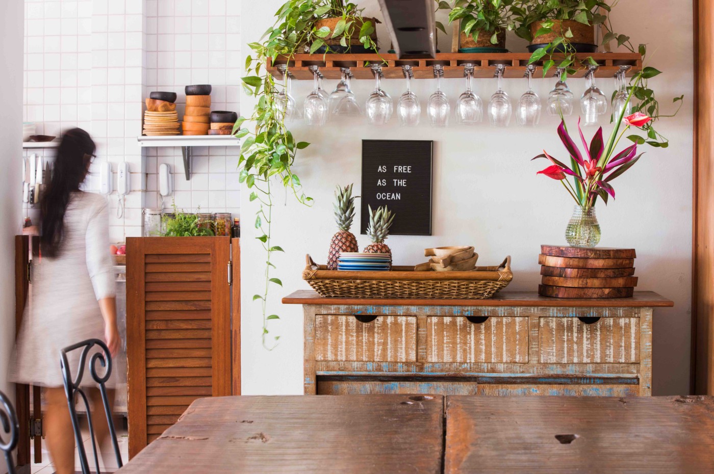 Barracuda. Itacaré, Bahia, Brasilien