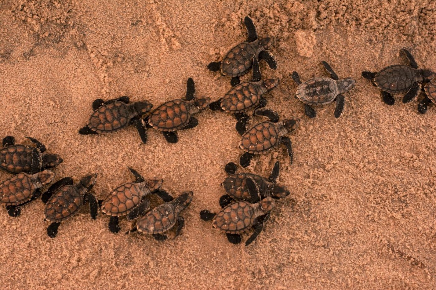 Pousada Lagoa do Cassange, Maraú, Bahia, Brasilien