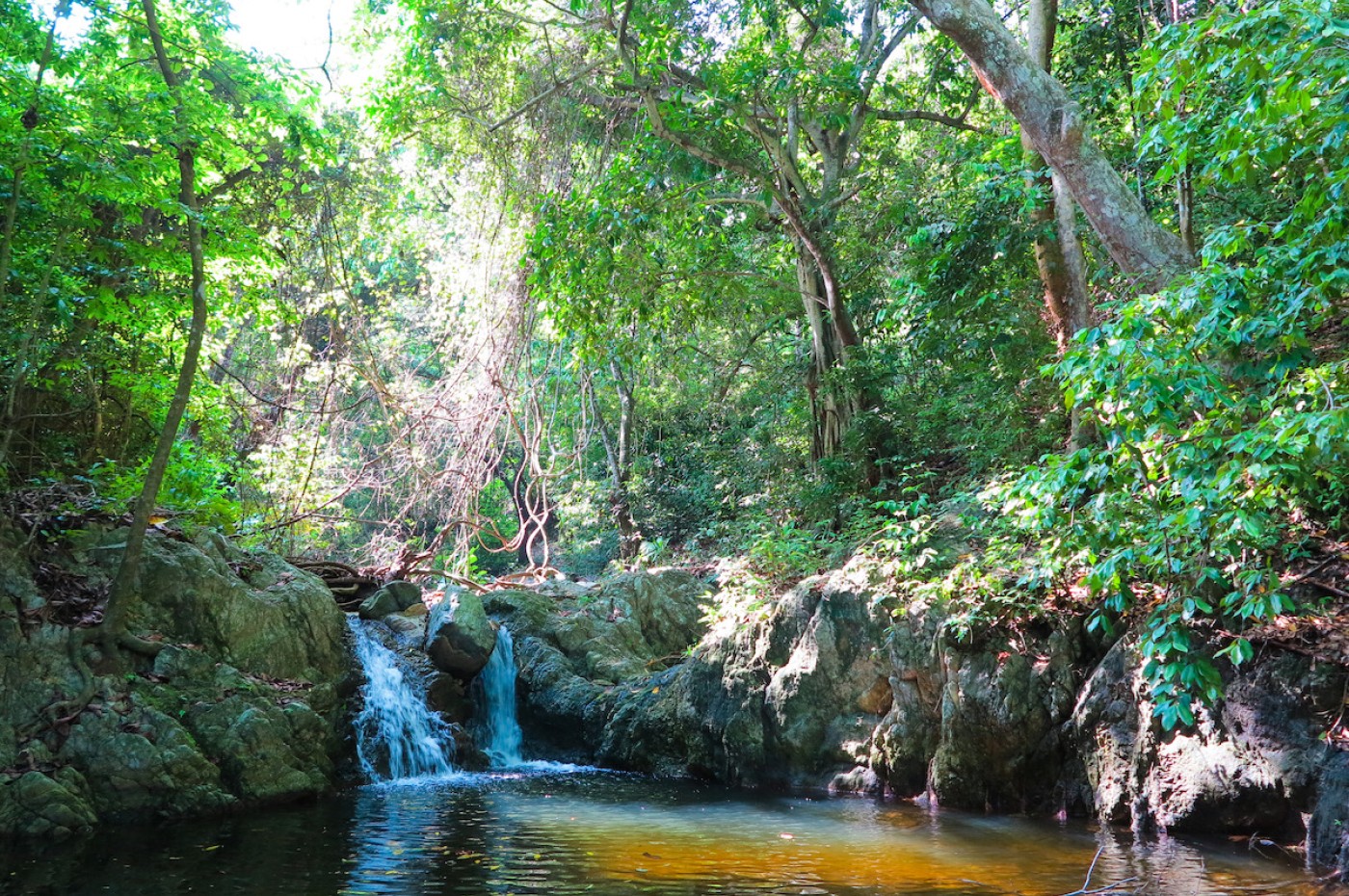 Eco hotel Finca La Jorara, Tayrona Santa Marta, Colombia