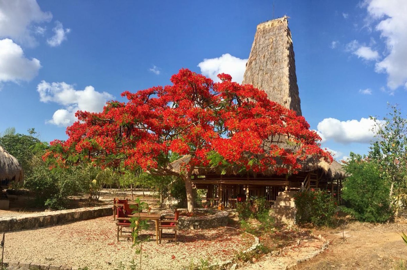 Maringi Sumba, Indonesien