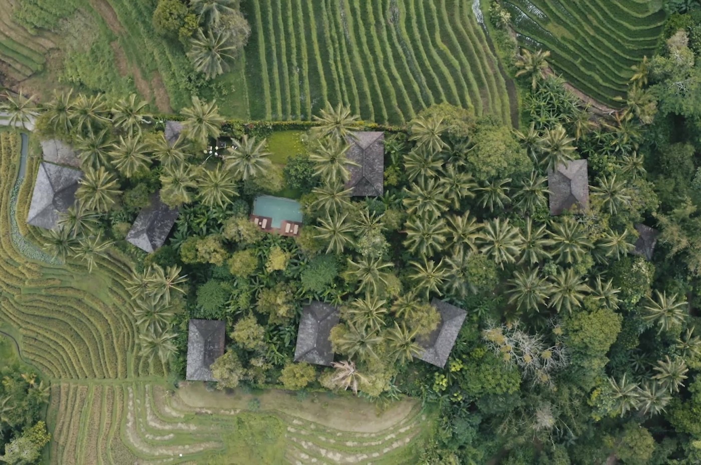 Clove Tree Hill Villas, Bali, Indonesien