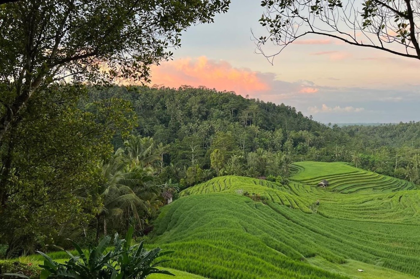 Clove Tree Hill Villas, Bali, Indonesien
