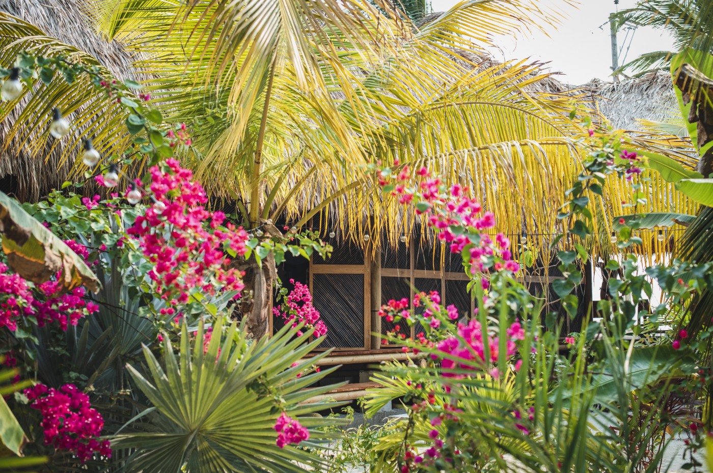 Dos Aguas Lodge, Den Caribiske Kyst, Colombia