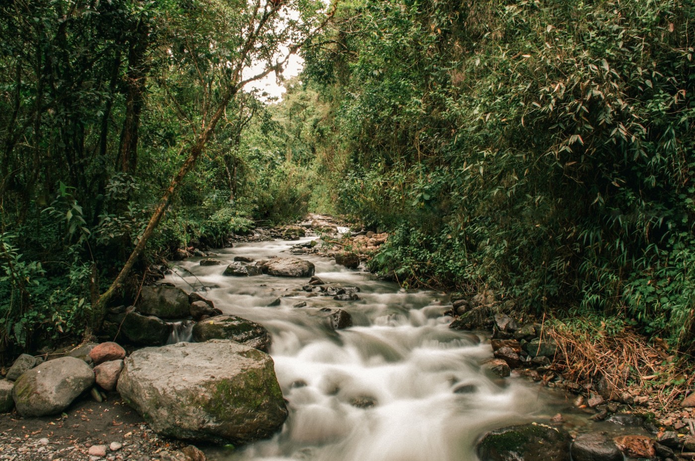 Kafferegionen, Colombia