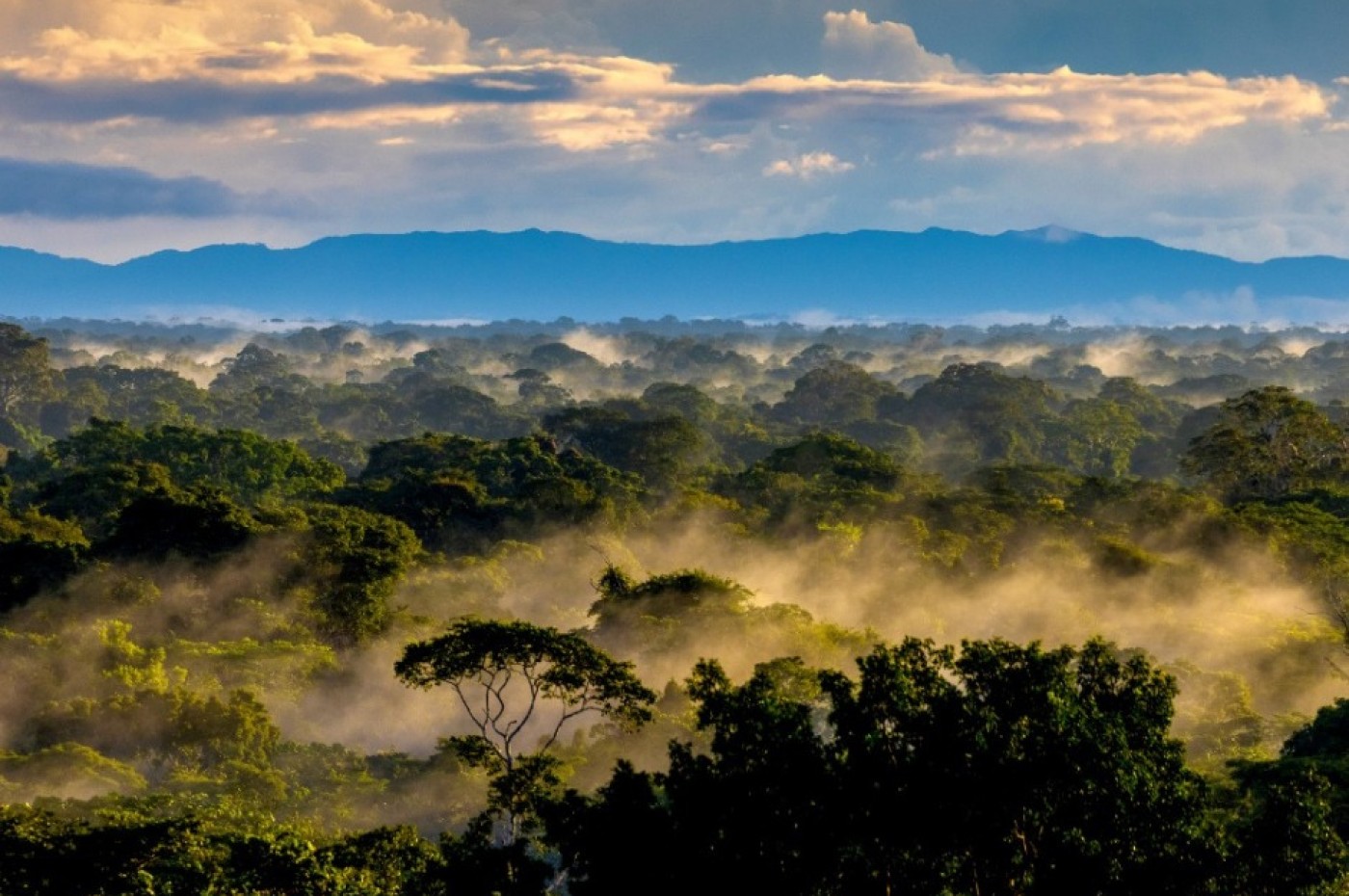 Posada Amazonas, Peru