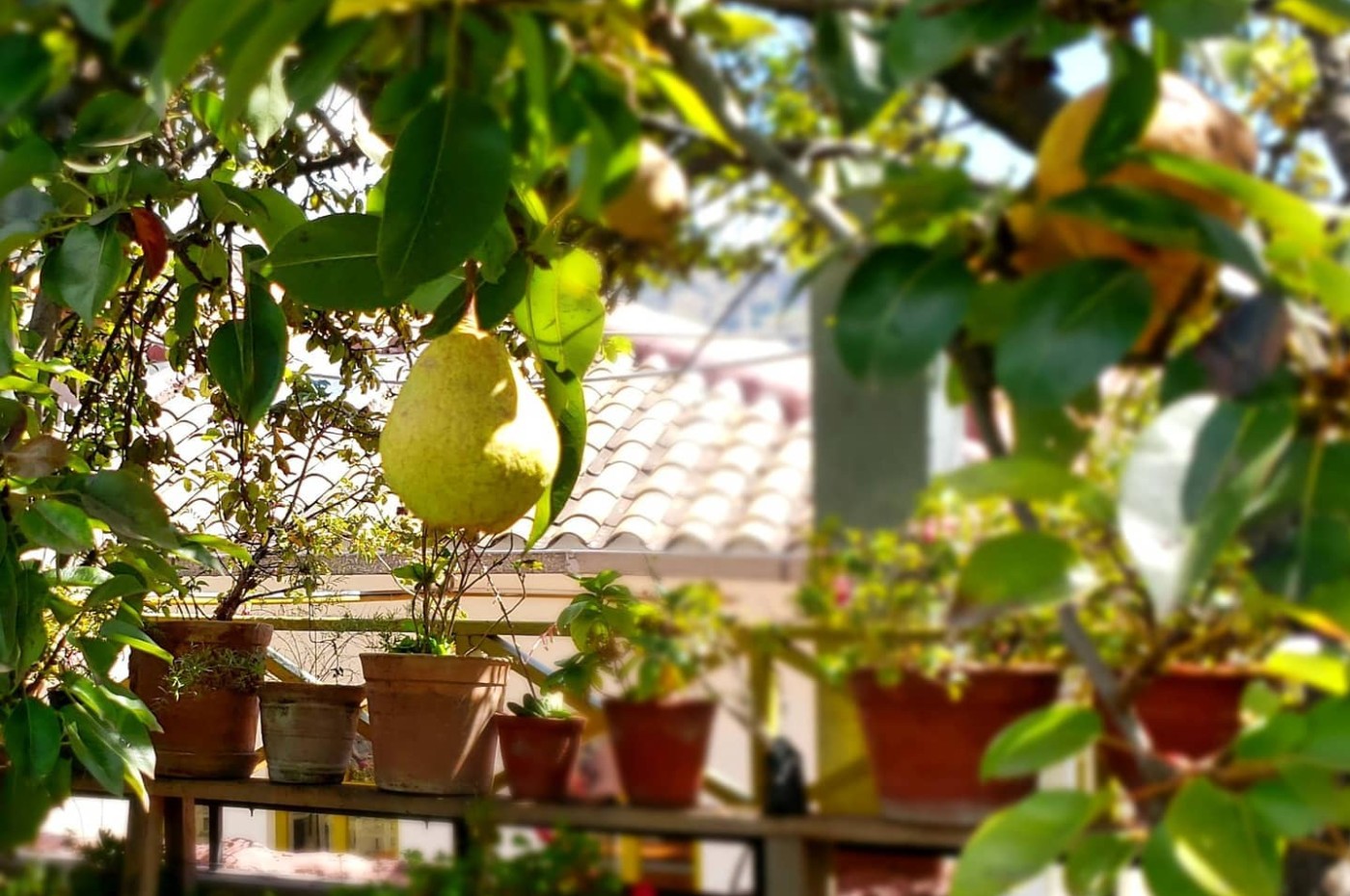 Niños Hotel, Cusco, Peru