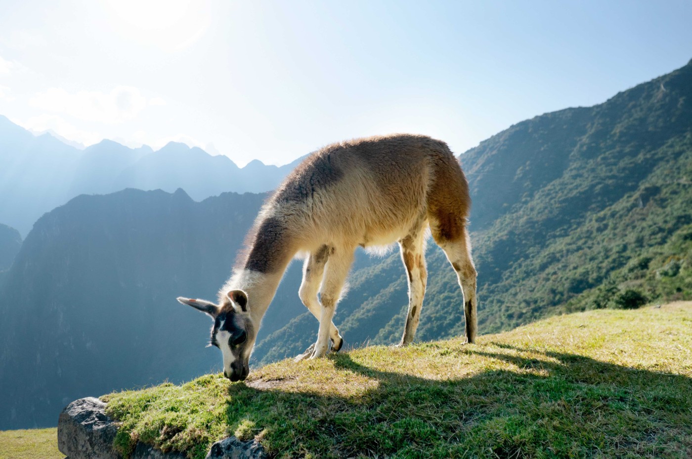 Machu Picchu, Peru