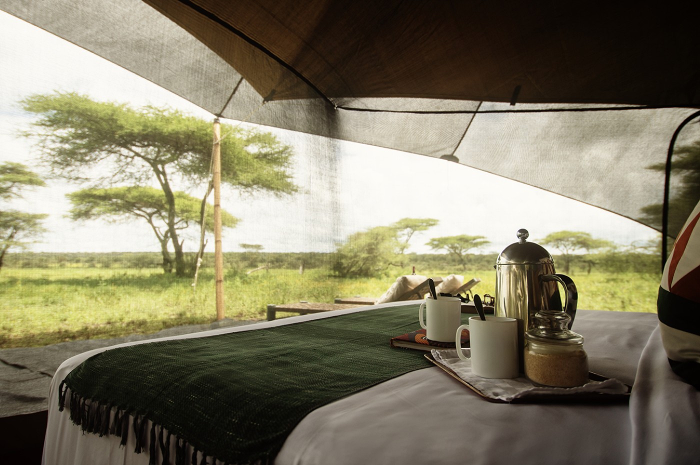 Wayo Serengeti Green Camp, Tanzania