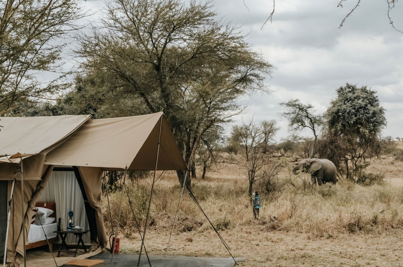 Tanzania, Wayo Serengeti Walking Camp