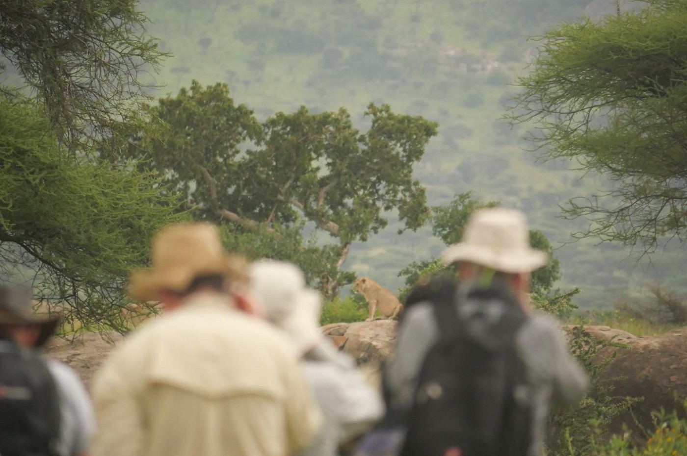 Tanzania, Wayo Serengeti Walking Camp