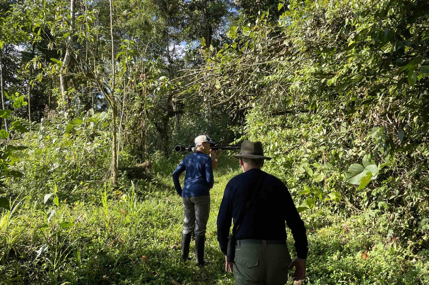 ecuador_maquipucuna_skov.jpg