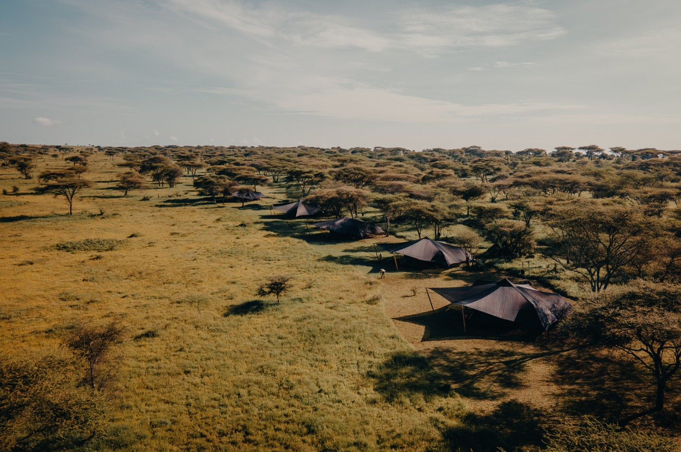 Wayo Serengeti Green Camp