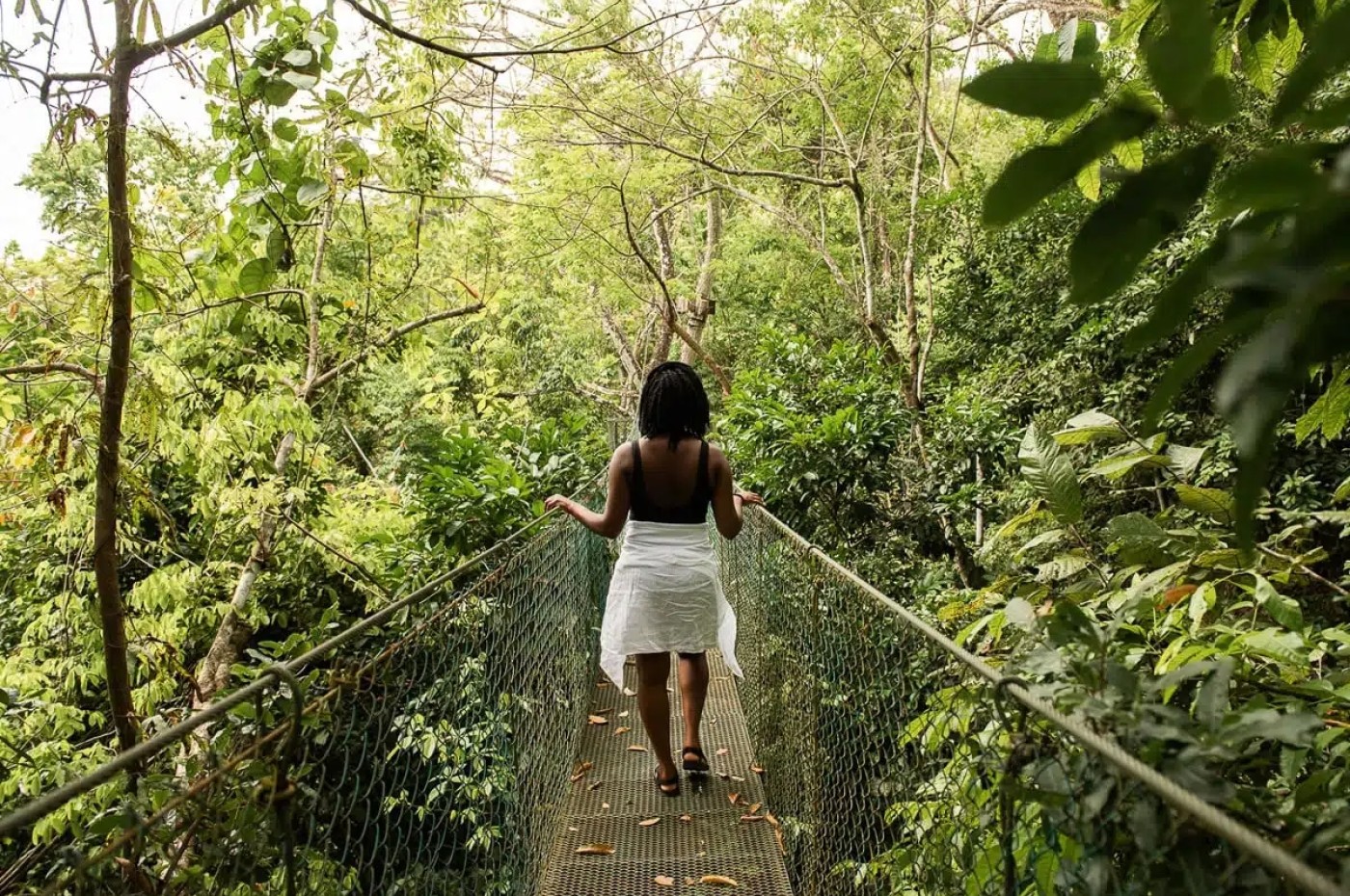 hængebro, Nantipa, Santa Theresa, Costa Rica