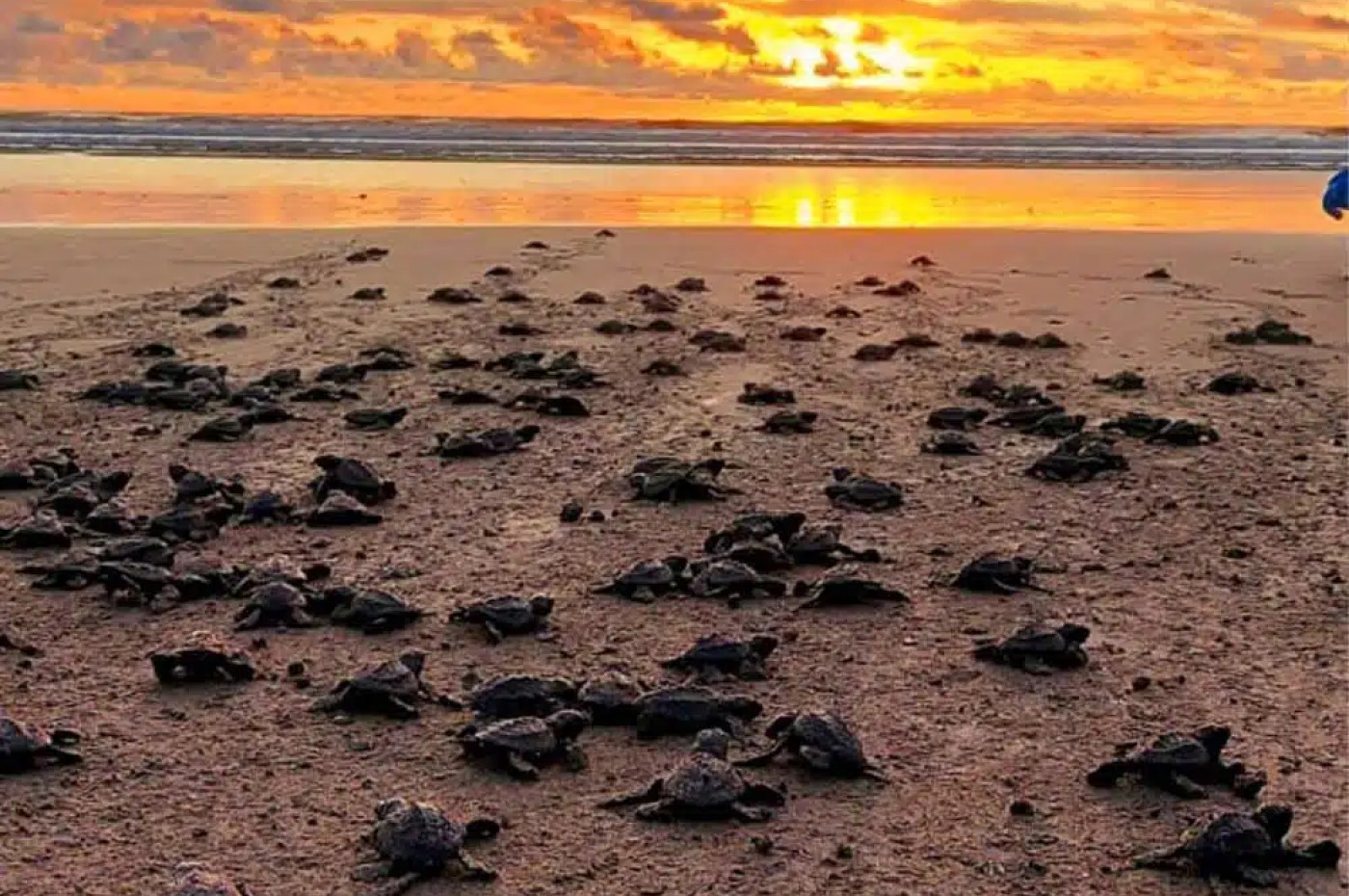 Nantipa, Santa Theresa, Costa Rica