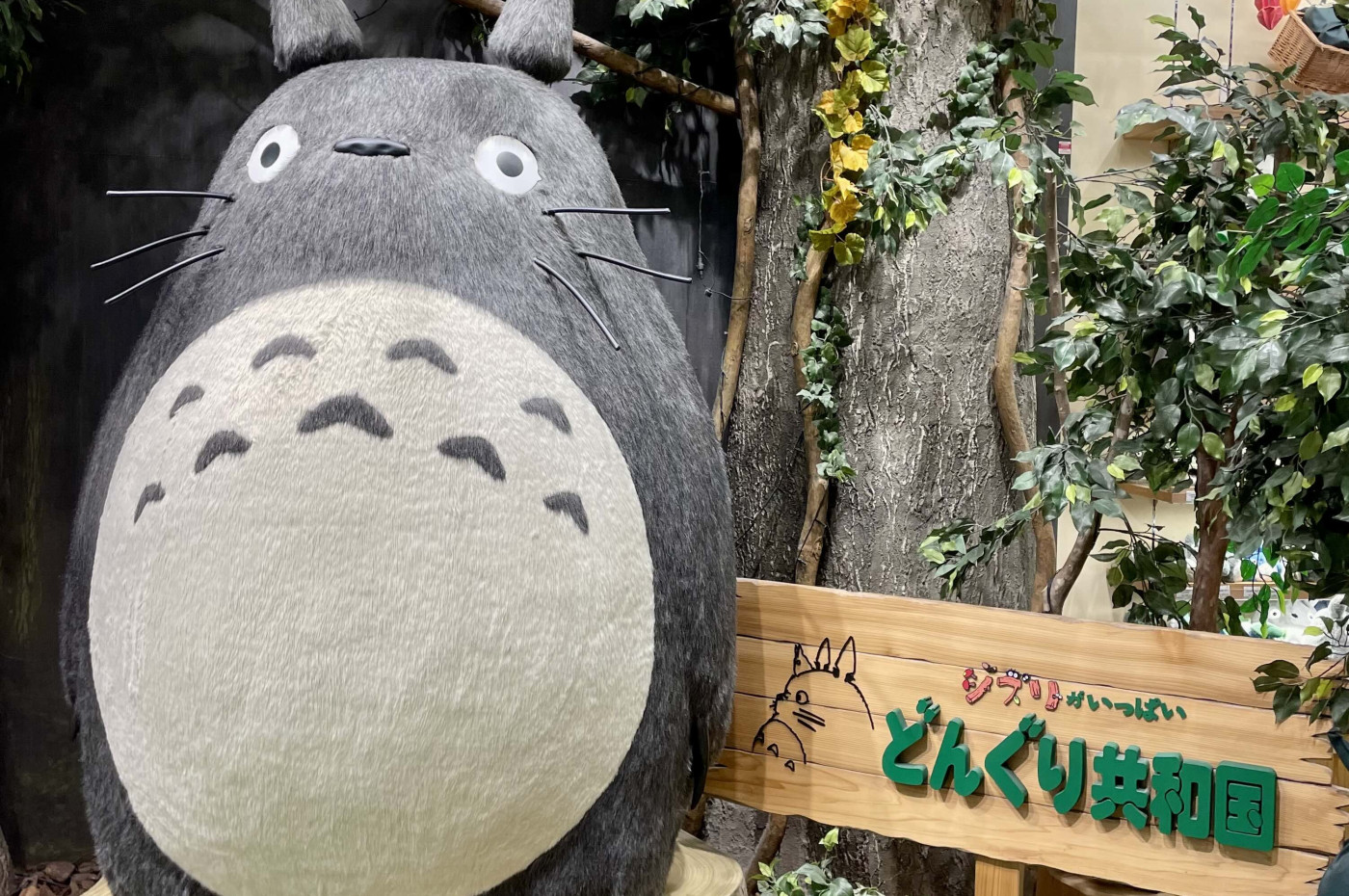 Totoro Studio Ghibli, Japan