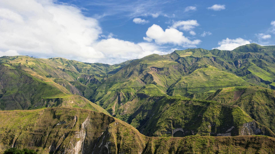 Llu Llu Llama, Ecuador