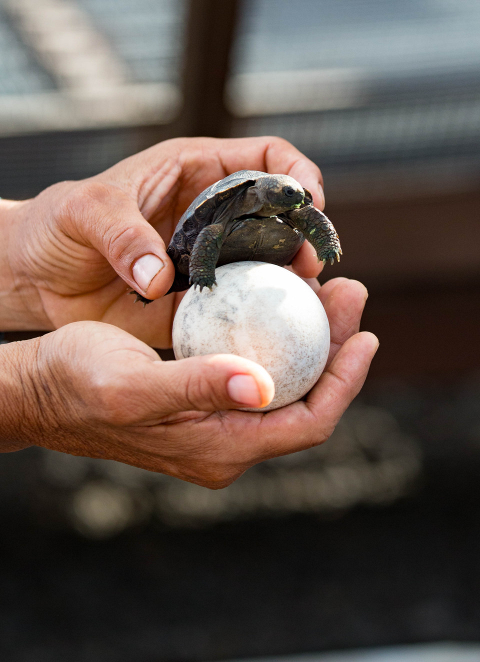 San Cristobal, Galapagos, Ecuador