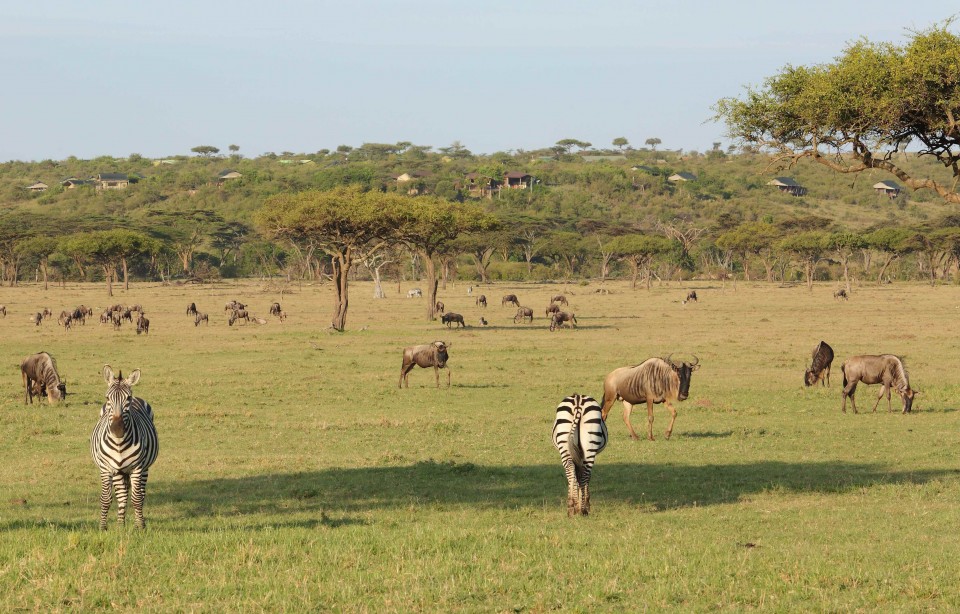 Eagle View, Masai Mara, Kenya