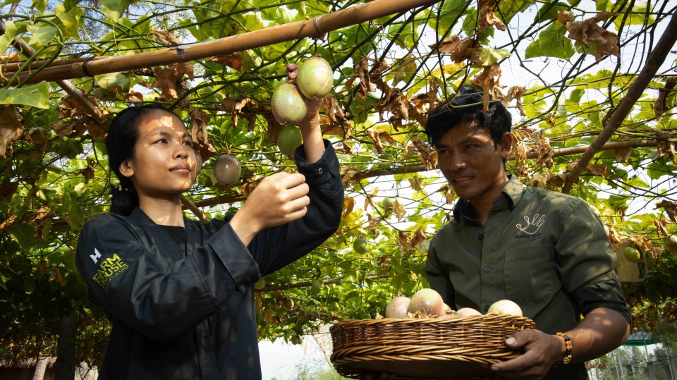 farm to table work at Smiling Gecko's Farmhouse Resort & Spa, Cambodja