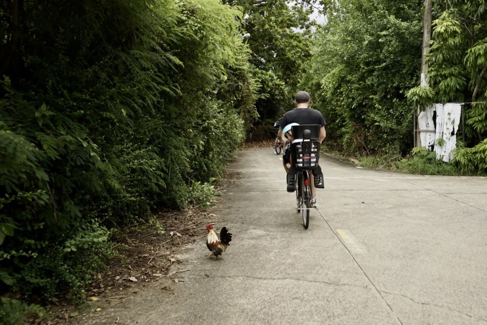 Bangkok cykel og kajak, Thailand