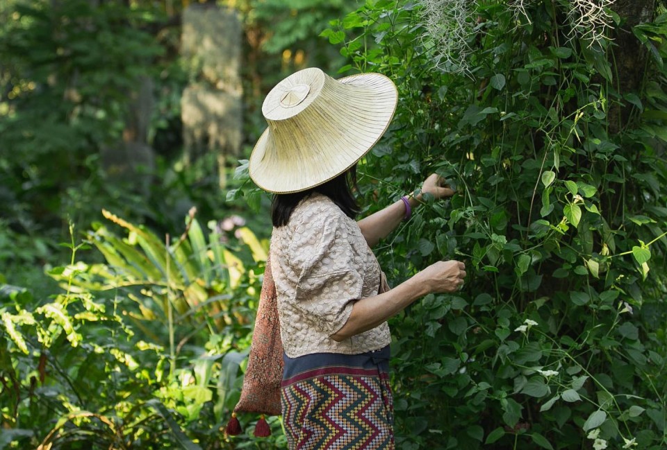 Poomjai Garden, Out and About, Bangkok, Thailand