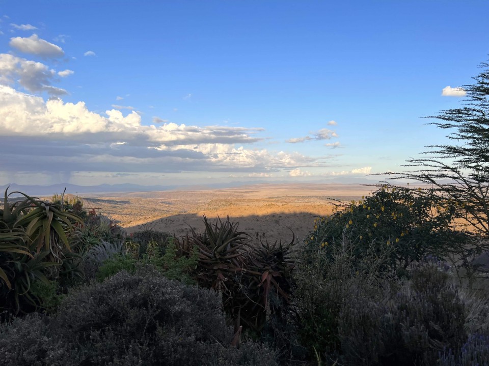 Årsmøde 2022, The Long Run, Borana Conservancy, Kenya