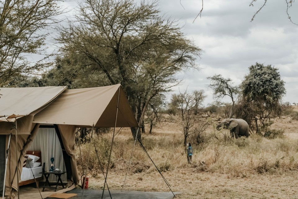 Tanzania, Wayo Serengeti Walking Camp
