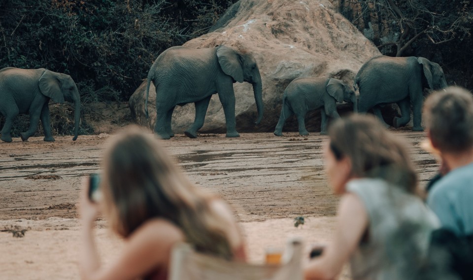 Wayo Manyara Green Camp, Tanzania