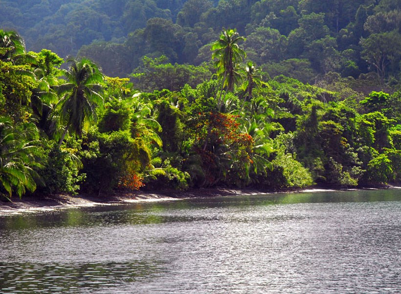Jungle, Costa Rica 