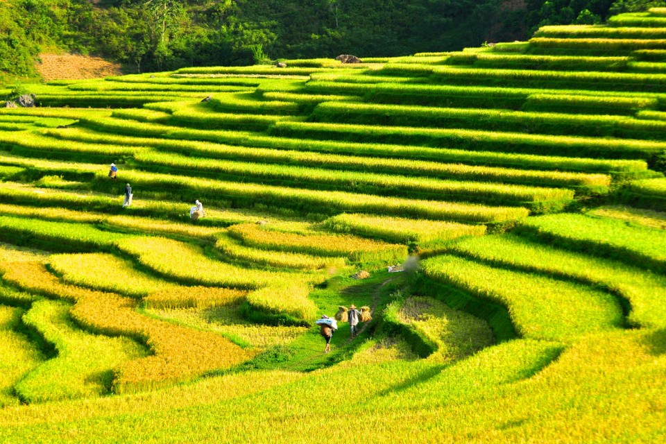 Pu Luong Retreat I Vietnam Thumbnail