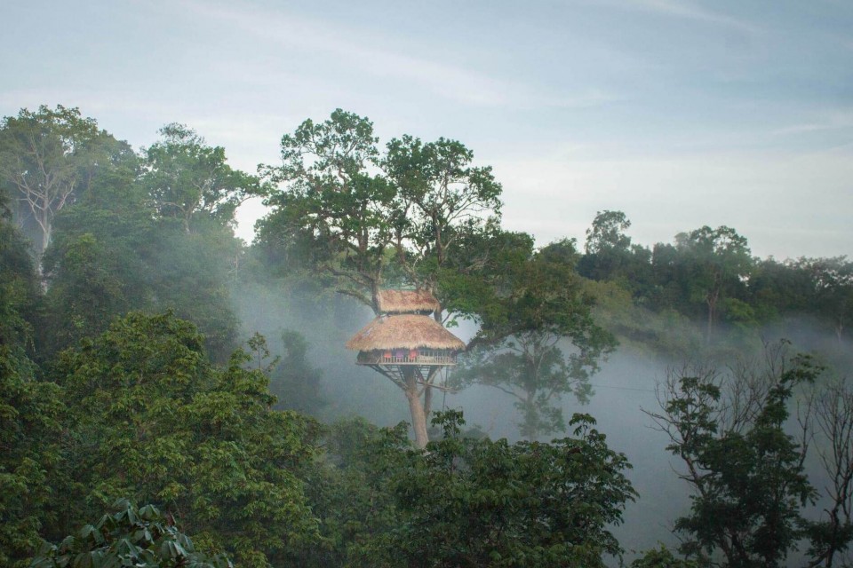 The Gibbon Experience i Laos Thumbnail