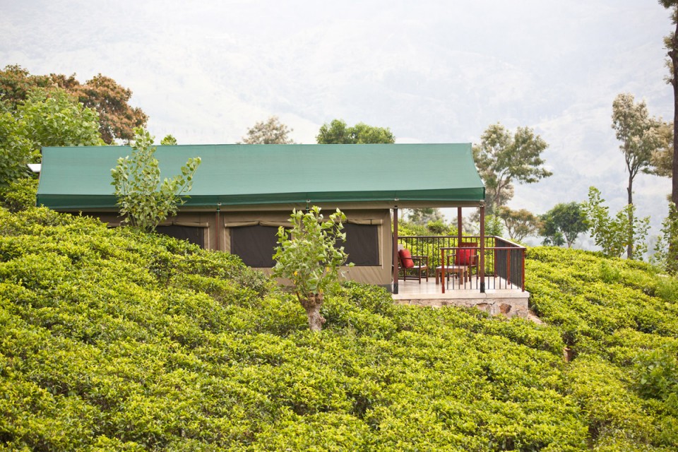 Madulkelle Tea and Eco Lodge, Kandy Thumbnail