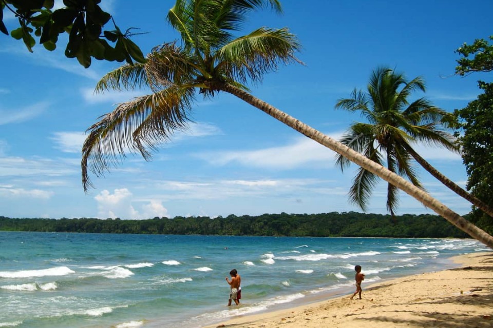 Costa Rica smukke strande med palmer