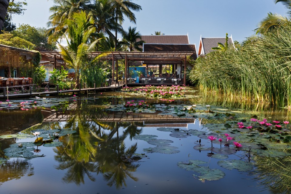 Maison Dalabua Lily Pond View