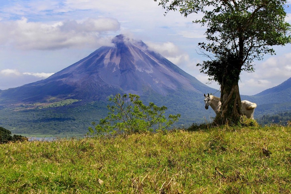Rancho Margot-Arenal