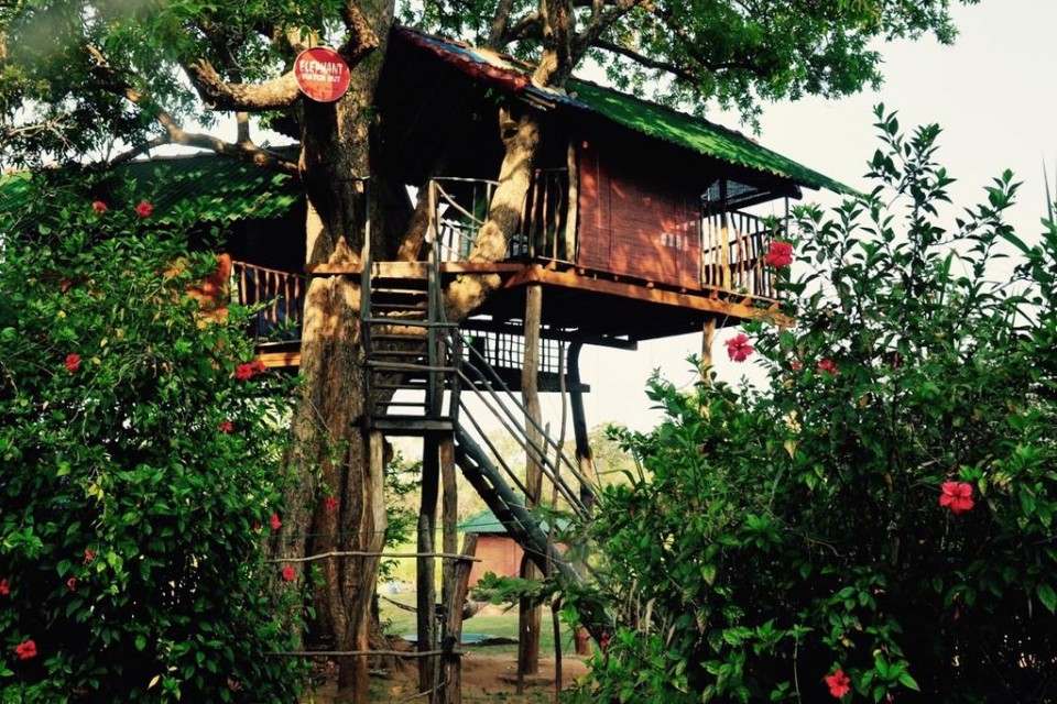 Elephant Watch Hut, Habarana