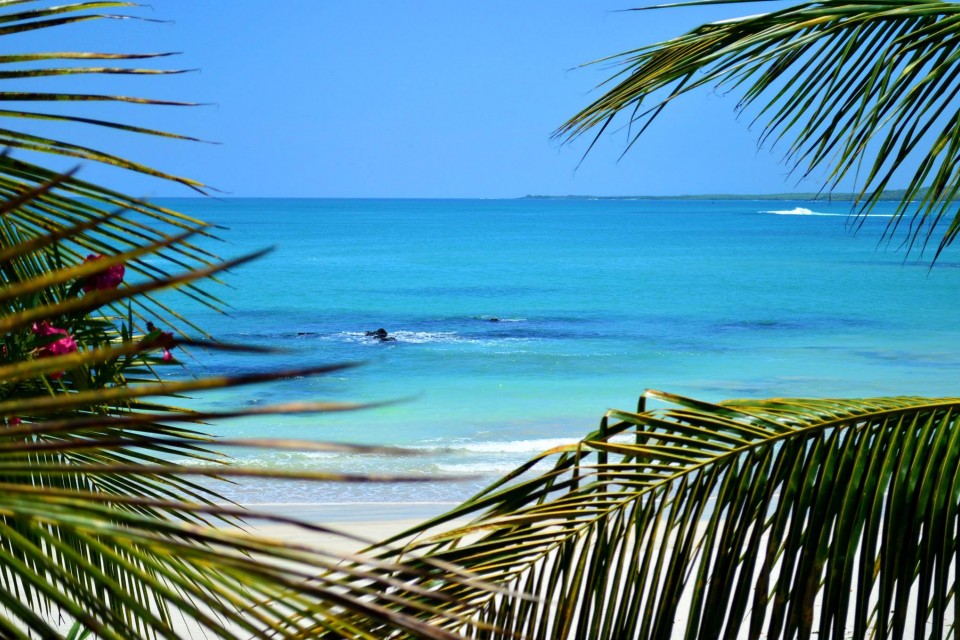 La Casa De Marita, Isabela, Galapagos, Ecuador