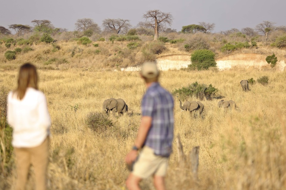 Ikuka Safari Camp, Ruaha National Park, Tanzania
