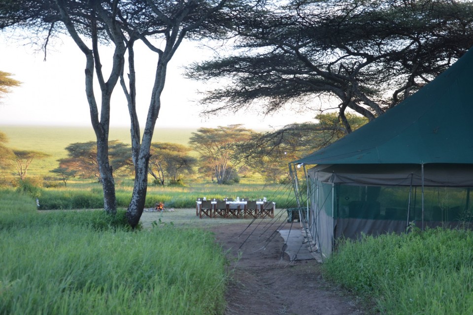 Wayo Serengeti Green Camp, Nabi