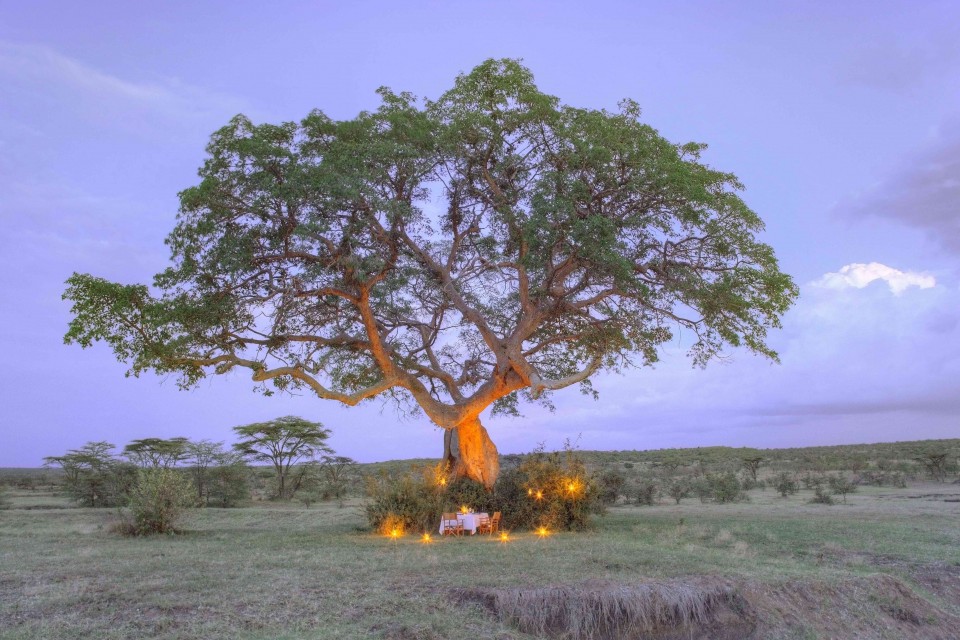 Leopard Hill Basecamp Explorer, Masai Mara, Kenya
