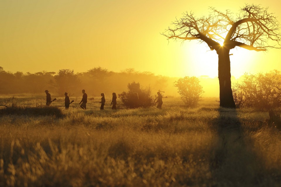 Kichaka Expeditions, Ruaha, Tanzania