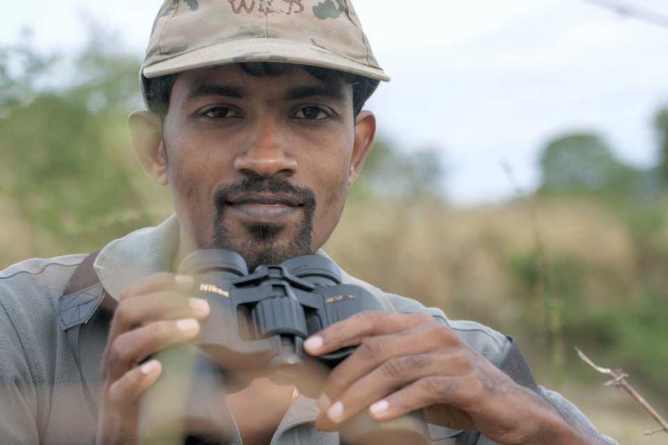 Tree Tops Jungle Lodge, Buttala/Yala, Sri Lanka