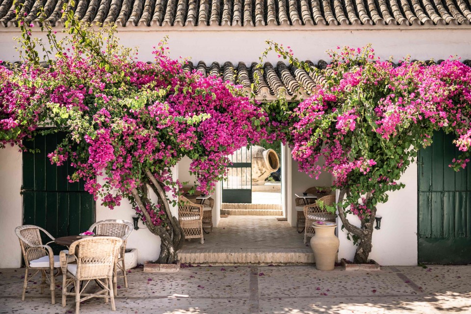 blomster og indgang til Hacienda de San Rafael, Las Cabezas, Andalusien