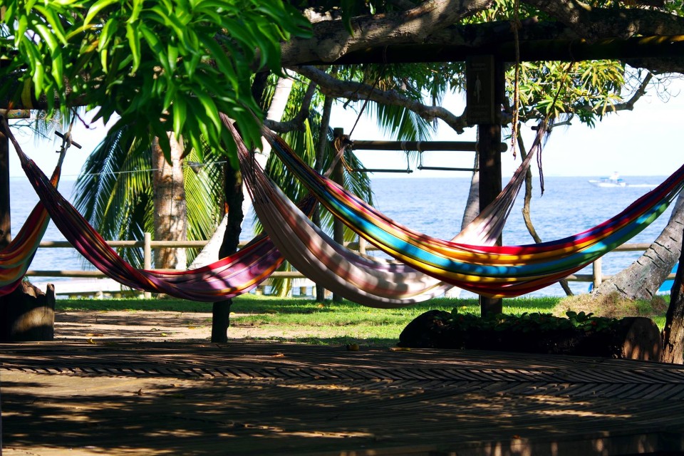 Reserva Natural Sanguare, Colombia