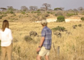 Ikuka Safari Camp, Ruaha National Park, Tanzania