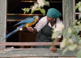 Comuna do Ibitipoco, Minas Gerais, Brazil