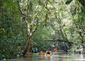 kajak og regnskov, Maquenque Ecolodge, Costa Rica