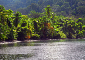 Jungle og hav, Costa Rica 